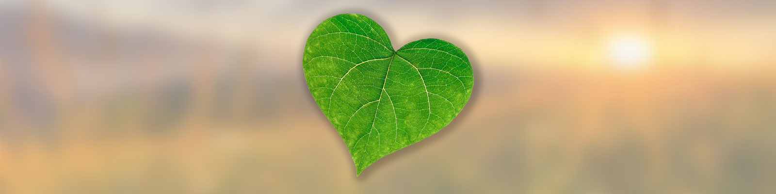 Sustainability with Leaf